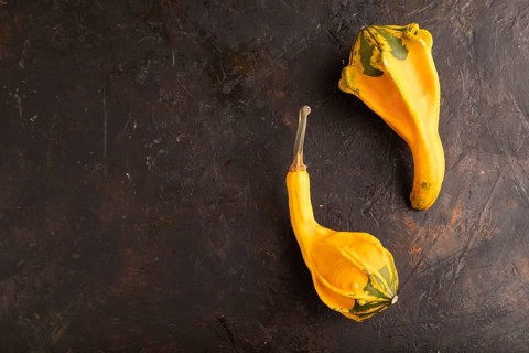 Two decorative orange Pumpkins on black concrete background, top view, flat lay, copy space,