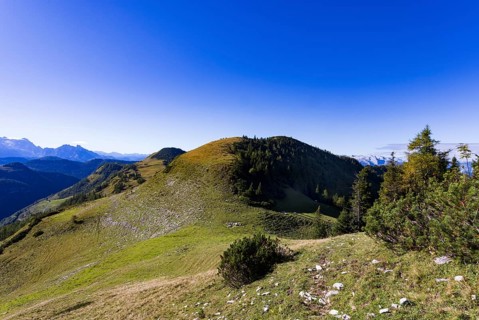 View from Rossfeld to Großer Radl, Postalm, Osterhorn Group, Salzkammergut, Province of Salzburg,