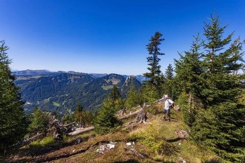 Hikers on the way to Rettenkogel, Postalm, Osterhorn Group, Salzkammergut, Province of Salzburg,