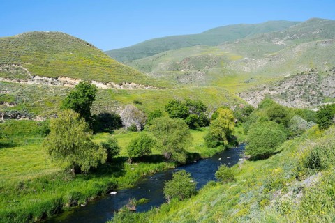 A green valley with a river and hills under a bright blue sky, picturesque nature, Vorotan River,