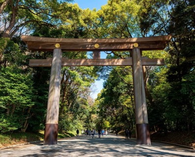 Kitasando Torii Grand Gate, Meiji Jingu Entrance, Meiji Shrine, Shinto Shrine, Yoyogi Park,