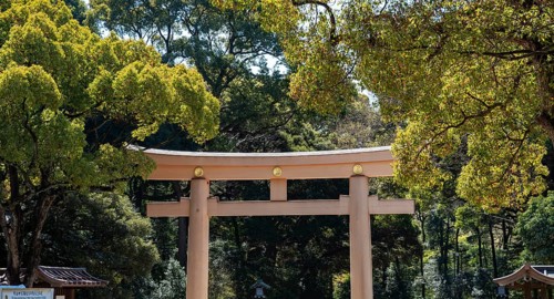 Meiji Jingu Sanno Torii at the entrance to Meiji Jingu, Meiji Shrine, Shinto Shrine, Yoyogi Park,