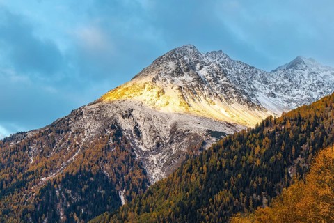 Mixed forest with larch trees (Larix) in autumn, mountain peaks with snow, autumn, Piz Chaste,