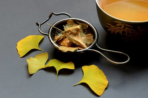Ginkgo leaves in tea strainer and tea in bowl, ginkgo biloba