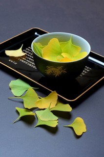Ginkgo leaves in shell on tray, ginkgo biloba