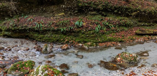 Stream in autumn, Gams, Styria, Austria