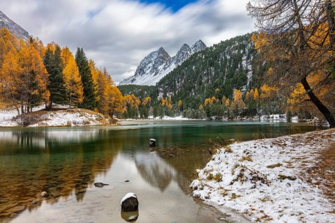 Lake Palpougna, mountain lake, Piz da la Plais, Tschimels, mixed forest with larches (Larix) in
