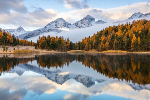 Lake Stazer in front of mountain peaks with snow, mixed forest with larch (Larix) in autumn,