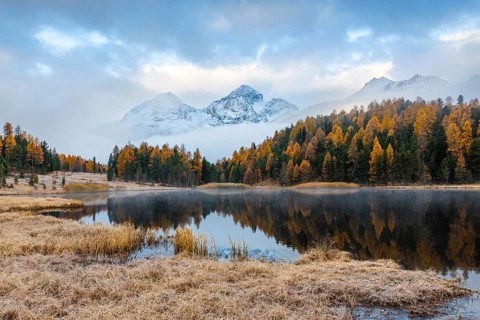 Lake Staz against mountain backdrop, mountain lake, mixed forest with larch (Larix) in autumn