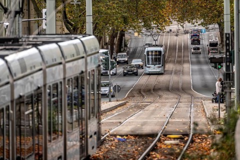 Bogestra tram, line 302 on Alleestraße, driving school, training trip, tram line in the middle of