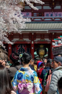 Young Japanese woman wearing kimono surrounded by numerous visitors on Nakamise-dori shopping