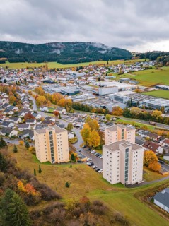 City view with skyscrapers and autumn trees under cloudy sky, Wehingen, Tuttlingen district,