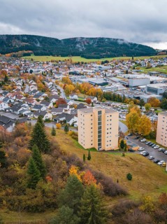 City with several skyscrapers and autumn trees in the background, Wehingen, Tuttlingen district,