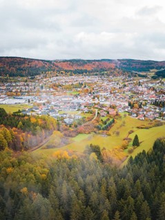 Village surrounded by autumnal landscape with foggy foothills, Wehingen, Tuttlingen district,