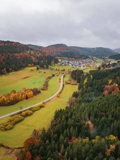 View of a curved road lined with colorful autumn leaves in hilly surroundings, Wehingen, Tuttlingen