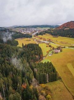 Wide landscape with forest and autumnal hills hidden under thick fog, Wehingen, Tuttlingen