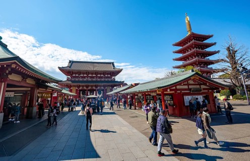 Five-story pagoda and Hozomon treasure chamber gate of Asakusa Shrine or Senso-ji Temple, blooming