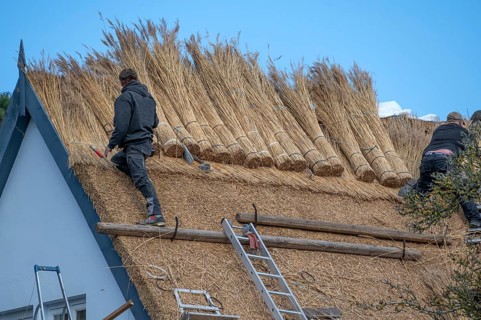 A thatched roof is covered, Wieck a. Darß, Baltic Sea, Mecklenburg-Western Pomerania, Germany