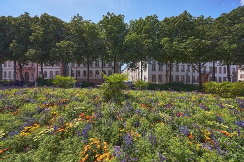 Garden area, flower bed, trees, general architecture, pedestrians as a secondary motif, blue sky,