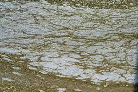Structure of pollution in the port of Ahrenshoop, Darß, Baltic Sea, Mecklenburg-Western Pomerania,