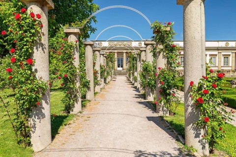 Rosengarten am Rosensteinmuseum, Rosensteinpark, Stuttgart, Baden-Württemberg Germany, Stuttgart,