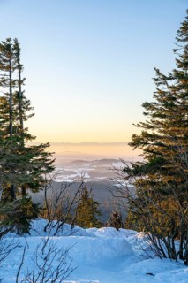 View from Mount Lusen over the hills of the bavarian forest at sunrise in winter, Bavaria, Germany