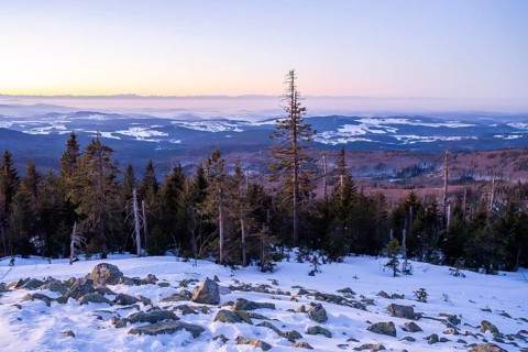 View from Mount Lusen over the hills of the bavarian forest at sunrise in winter, Bavaria, Germany