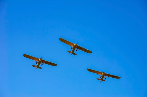 Three Piper PA-18 Super Cub aircraft from the Bravo Lima Formation flying group in formation flight