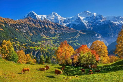 Autumn landscape in the hamlet of Sulwald with views of Wengen and Eiger 3967m, Mönch 4110m and