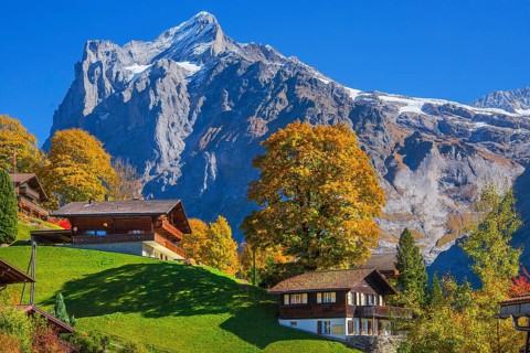 Typical rural and holiday homes with Wetterhorn 3690m in autumn, Grindelwald, Lütschinental,