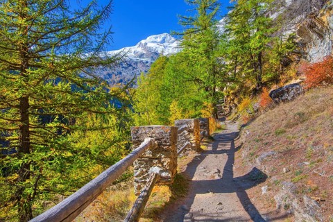 Historic chapel trail with Alphubel 4206m in autumn, Saas-Fee, Saasertal, Valais, Switzerland
