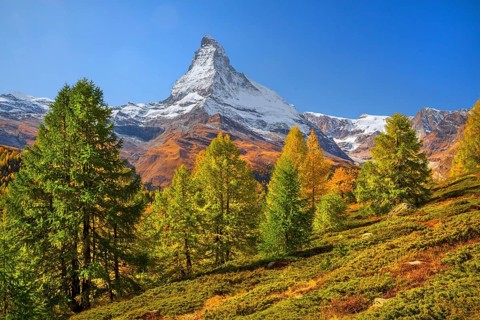 Autumn landscape near the Sunnegga with Matterhorn 4478m, Zermatt, Mattertal, Valais, Switzerland