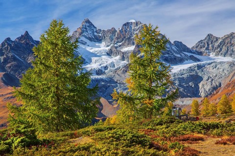 Autumn landscape on the Sunnegga with Zinalrothorn 4221m, Zermatt, Mattertal, Valais, Switzerland