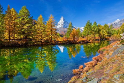 Matterhorn 4478 m with reflection in Lake Grindji in autumn, Zermatt, Mattertal, Valais,
