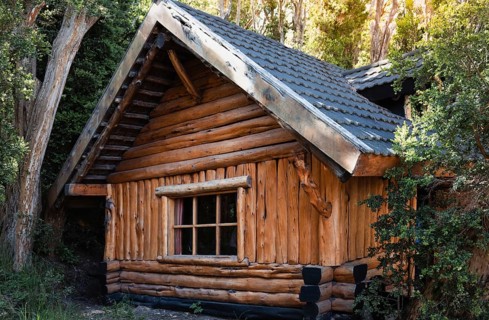 Argentina, Patagonia, Bariloche Island Isla Victoria and Arrayanes forest scenic landscapes