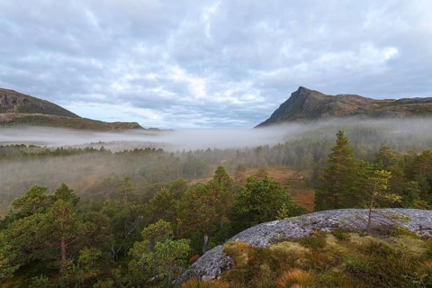 Magical morning fog on Steigtindvatnet in front of the majestic Litltind in Norway near Bodø