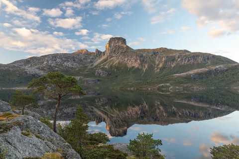 Morning dream over the quiet Steigtindvatnet near Bodø. Pine forest on the rock face at sunrise