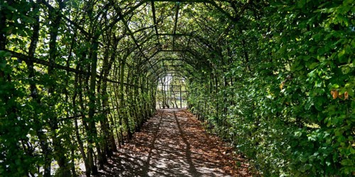Pergola in Rheinsberg Castle Park, Ruppiner Land, Brandenburg, Germany