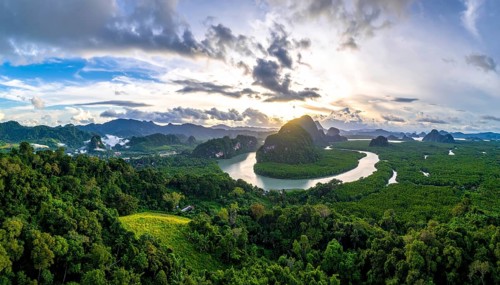 Banner background of tropical forest landscape scene, green wild jungle, cloudy sky at morning,