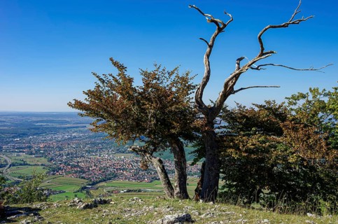 Picturesque scenery on the eaves of the Swabian Jura near Olgafels on Rossfeld in Metzingen-Glems,