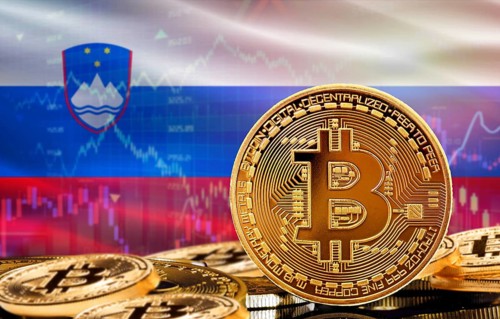 Investors in cryptocurrency and Blockchain Technology in Slovenia, Concept. Bitcoin with Slovenia