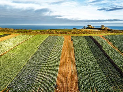 Fields and Farms at evening sun from a drone, Shaldon, Torquay, Devon, England, United Kingdom