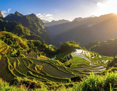 Early morning light bathes Philippines rice terraces cascading down mountain slopes, beautiful