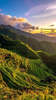 Early morning light bathes Philippines rice terraces cascading down mountain slopes, beautiful