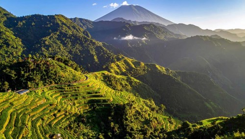 Early morning light bathes Philippines rice terraces cascading down mountain slopes, beautiful