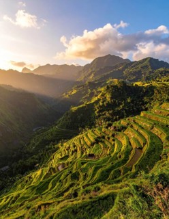 Early morning light bathes Philippines rice terraces cascading down mountain slopes, beautiful