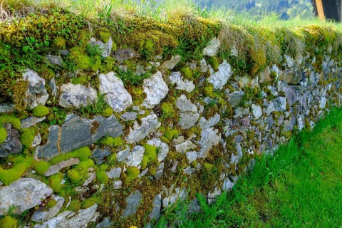 Moss-covered wall, cemetery wall, parish church of St. Johannes der Täufer, Weissbriach, Gitschtal,