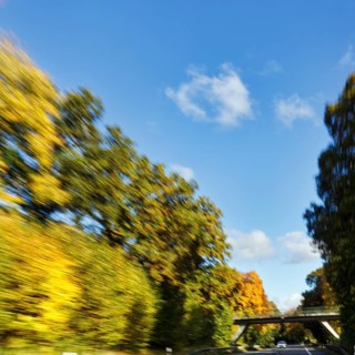 Car ride over winding country road, autumn leaves, sunny autumn weather, motion blur, Barntrup,