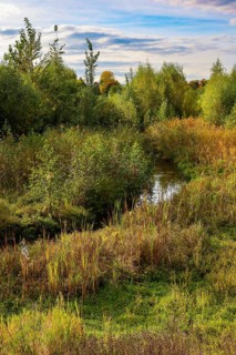 Bottrop, North Rhine-Westphalia, Germany - Autumn on the restored Boye, the tributary of the