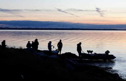 Angler on the beach during sunset, an angler docks on the shore with his inflatable boat and dog,